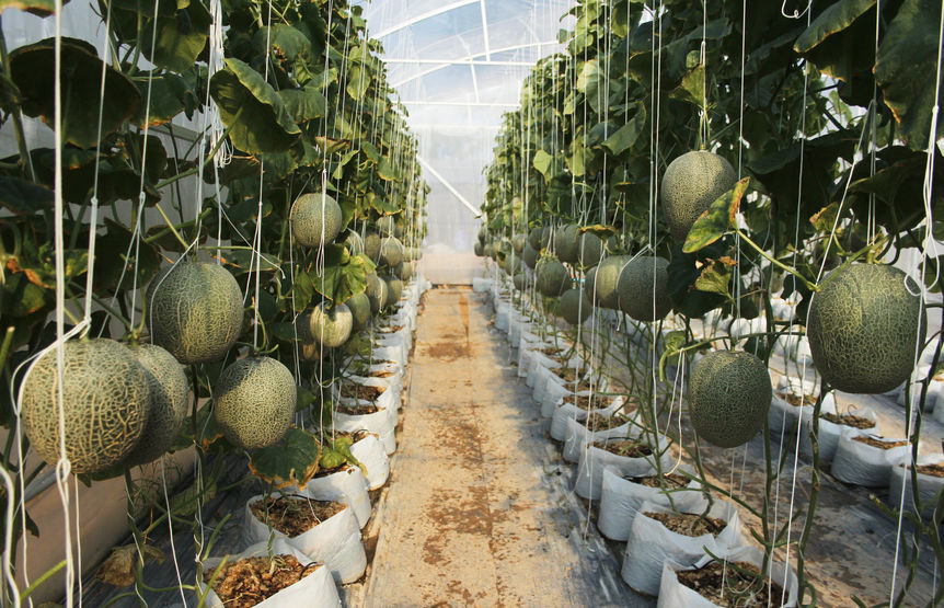 Farm enRoll