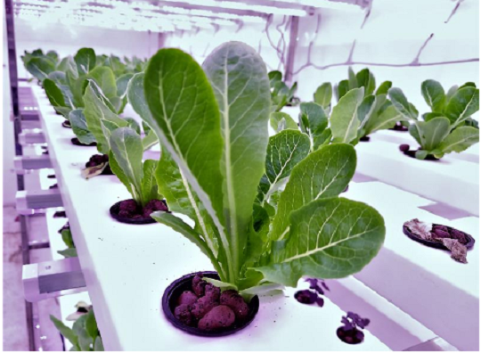  Farm enRoll